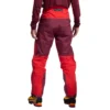 Alpine Guide GTX Performance Pantolon M