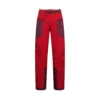 Alpine Guide GTX Performance Pantolon M