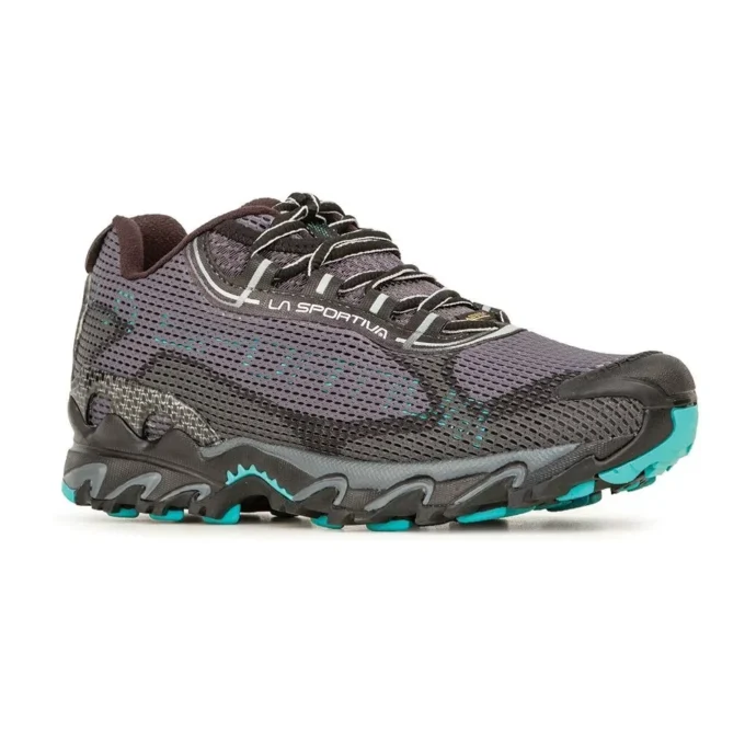 Wildcat 2.0 GTX Kadın (2023)