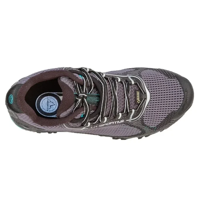 Wildcat 2.0 GTX Kadın (2023)