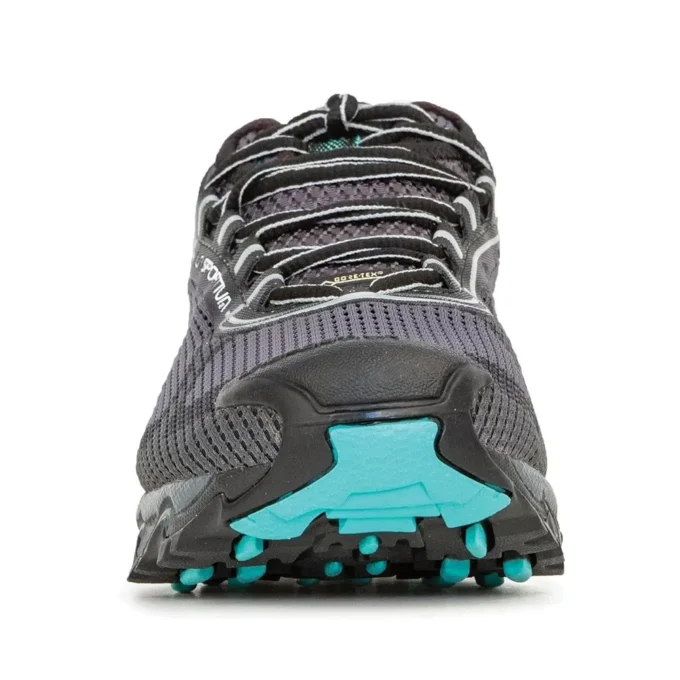 Wildcat 2.0 GTX Kadın (2023)